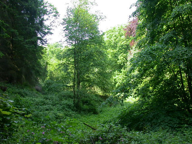 Uscita domenicale...